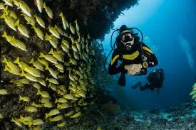 Beginner-Friendly Scuba Experience at Deep Dive Dubai