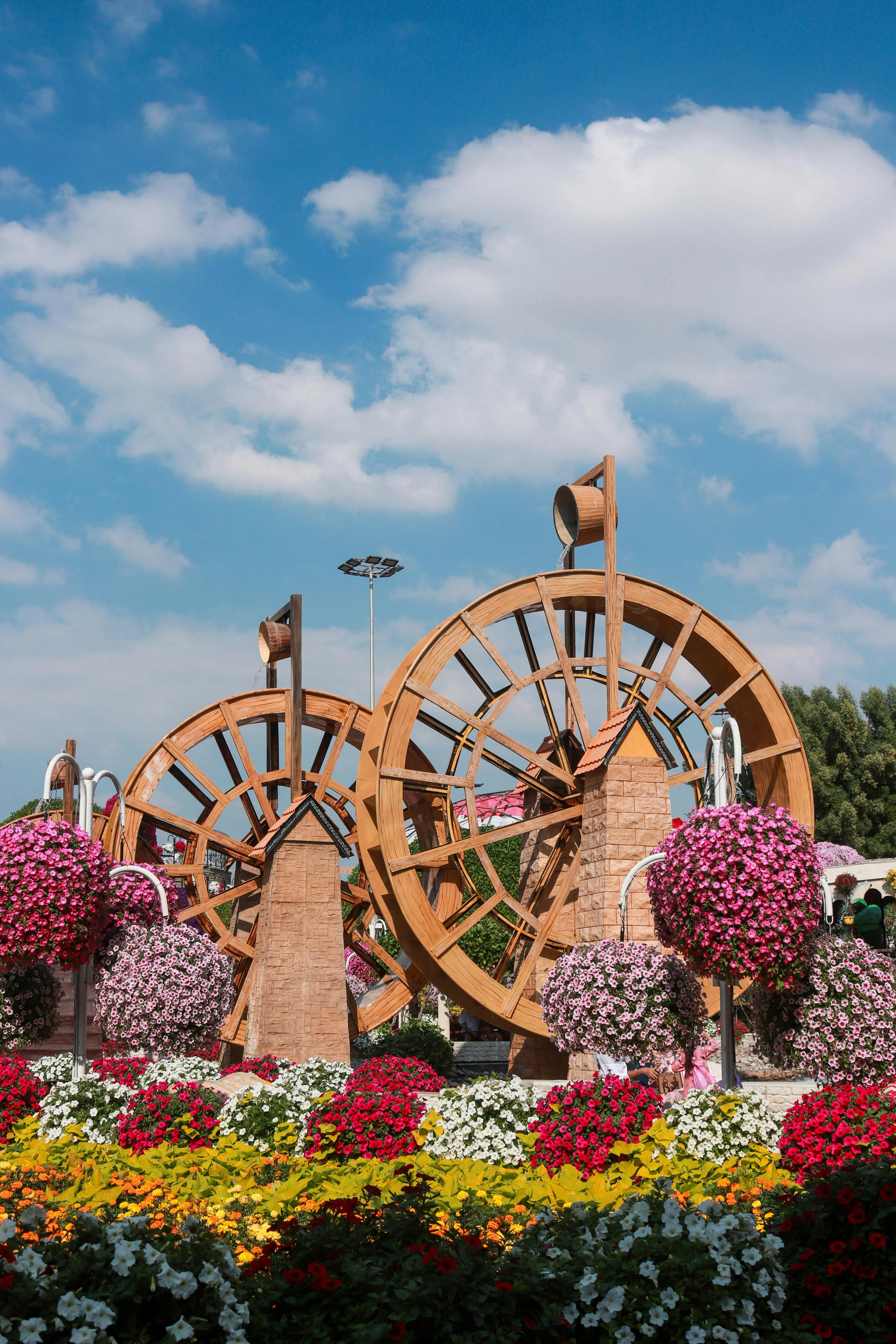  Dubai Miracle Garden 